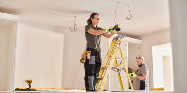 Best Electric Panel Repair  in Fernandina Beach, FL